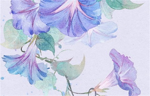 2025年12月24日是否宜动土？ 今日动土好吗