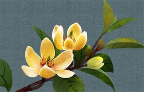 2026年农历二月初二这日子动土是否黄道吉日？ 动土修造是否合适宜？