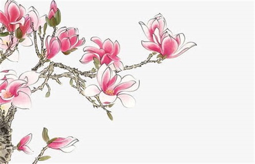 2025年11月17日动土有问题吗？ 今日动土建房好吗