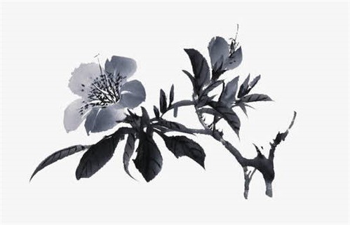 2025年11月06日动土合良辰吗？ 建筑房屋吉日指南