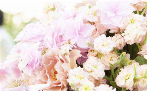 2026年农历五月初三动土合不合适？ 动土行不行？