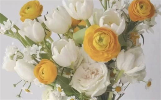 2026年农历三月十九是否宜结婚？ 今天办喜事怎么样？