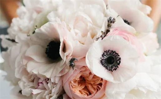 2026年农历二月十五领证可不可以？ 今日登记领证吉利吗？