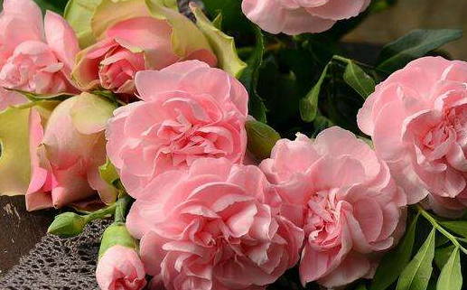 2026年04月14日领证有问题吗？ 今日领证好吗