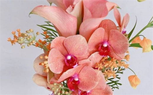 2025年12月10日领证日子合黄道没？ 领证黄道吉日查询