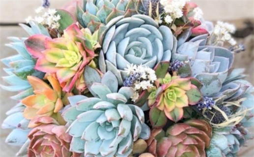 2026年农历二月十二领证合良辰吗？ 领证合不合适？