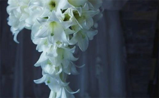 2026年农历正月初十领证是黄道吉日不？ 今日登记领证好吗