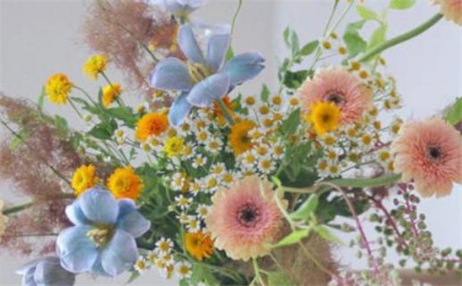 2026年02月20日是否是领证吉日 今日领证合适吗？