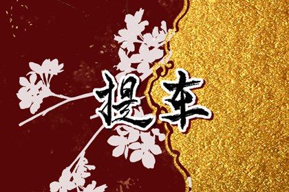 2026年04月03日提车趋吉避凶了吗？ 适合买新车吗？