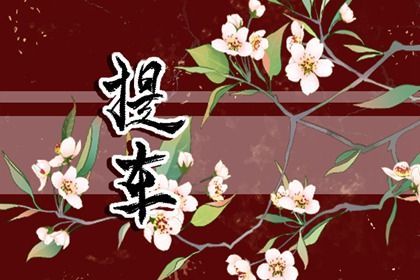 2025年08月03日提车日子有没有选对？ 今日提车有没有问题？