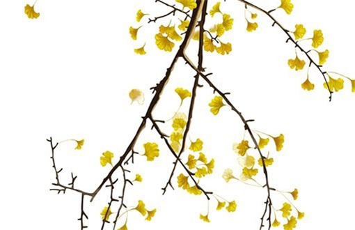 2026年农历二月初三装修合适吗？ 今天装修怎么样？