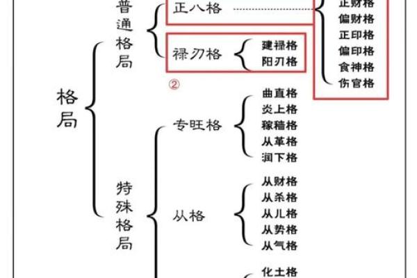 五行格局解析：飞的命运密码，揭秘如何改变性格格局