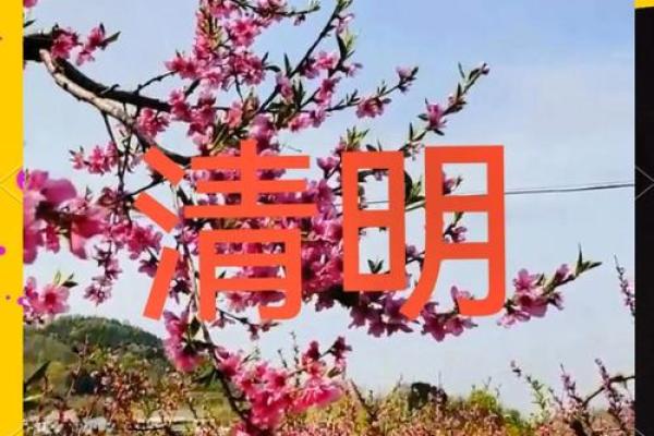 腊八节后：清明节自然，春游踏青寻生命气息