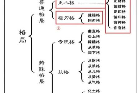 五行格局解析:飞的命运密码,揭秘如何改变性格格局