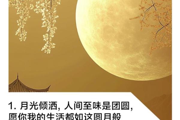 满月节：圆月寄情，探索节日养生奥秘
