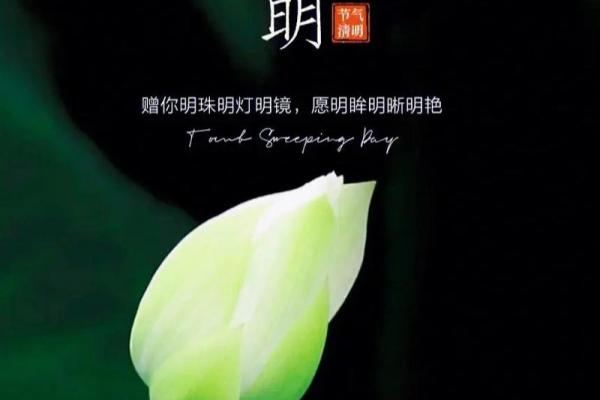 清明节：祭祖踏青，感悟自然与生命
