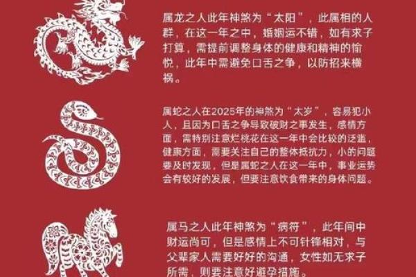 命理杂气解析：能改运吗？命运不同如何应对合婚的挑战