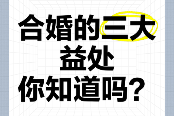 命理杂气解析：能改运吗？命运不同如何应对合婚的挑战