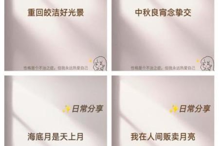 中秋：月圆人团圆，感悟团聚与和谐