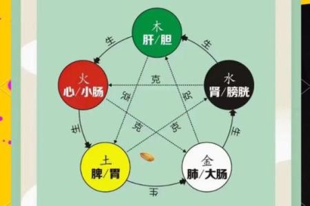 颠覆传统观念:五行格局如何反而影响你的性格成长?