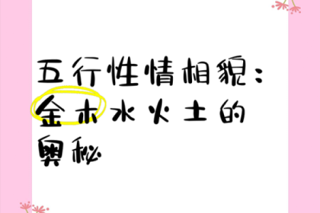 揭秘雯的性格奥秘:五行格局中的性格解析与自我提升