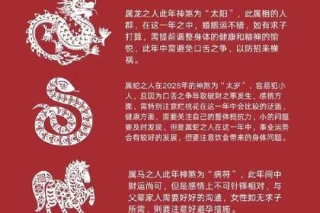 命理杂气解析:能改运吗?命运不同如何应对合婚的挑战