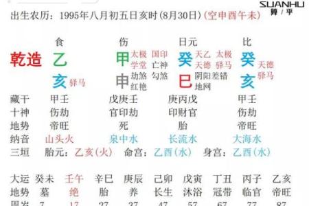 命理二巳合婚看什么?解析八字中的重要配对