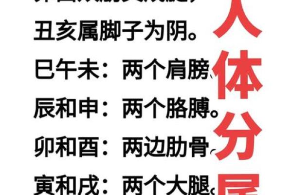 命理能改运吗？揭秘八字中的命运奥秘