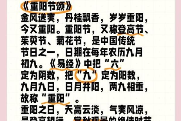 重阳节：登高望远，弘扬尊老爱老的传统美德