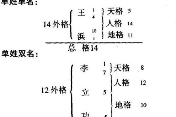 梓五行格局误区大揭秘：颠覆传统观念，反而助你运势飙升