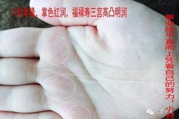 脸颊白毛命理深度解析：如何改运，合婚要看什么？