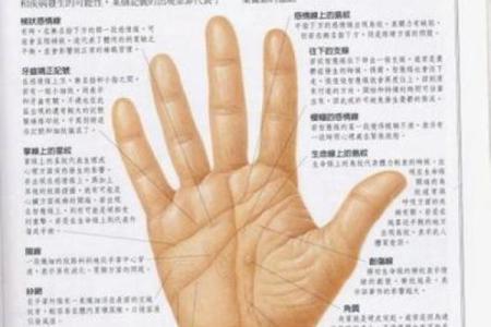 梓五行格局误区大揭秘:颠覆传统观念,反而助你运势飙升