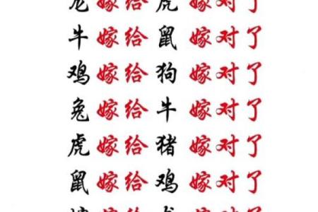 命理兄弟分离，能否通过合婚改运？全方位解析