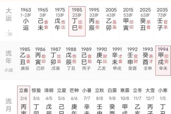 辛亥时八字解析：命运不同，如何从命理中看出关键？