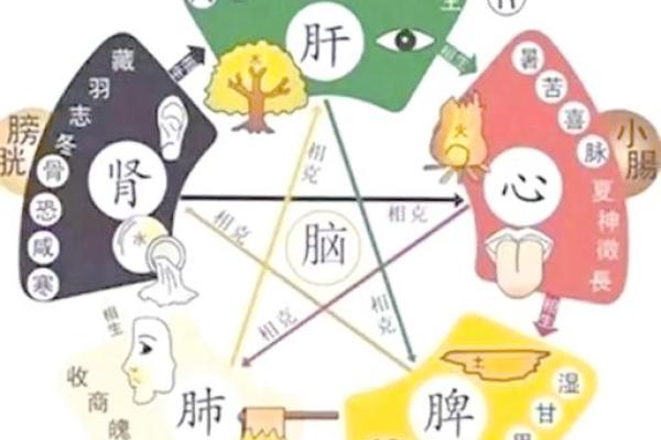 五行格局性格解析：甲木，你的独特魅力在哪里？