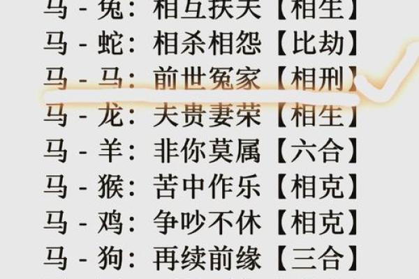 合婚看什么？解析命理中狗与配偶的命运匹配