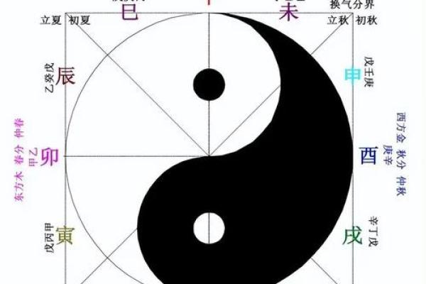 五行格局中的薇：性格解析误区大剖析，反其道而行之