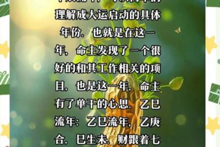 辛丑命理分析:命运不同,能改运吗?深度解析合婚关键