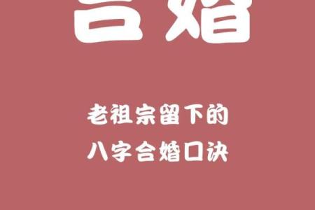 深度解析八字命理:命运不同,合婚时如何通过八字找到最佳配对?