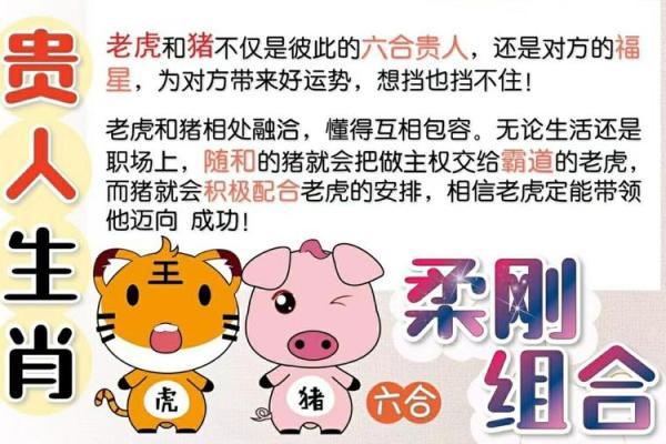 生肖猪命理全解析：八字如何影响运势？合婚时如何破解命运不同