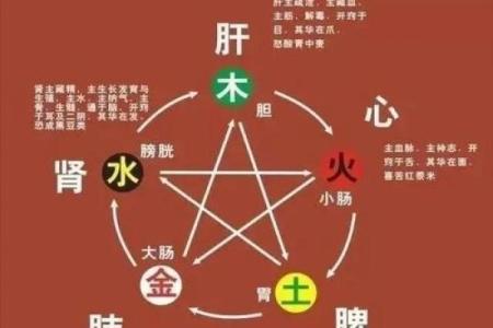 五行性格解析误区大揭秘:颠覆传统观念,反而更健康?
