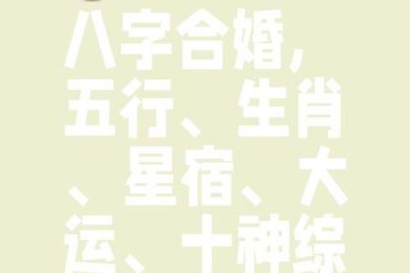 命理有山:合婚看什么?揭秘八字如何影响婚姻幸福