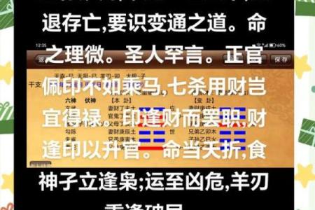 五行属木的智慧之道:揭秘如何改变命运格局?