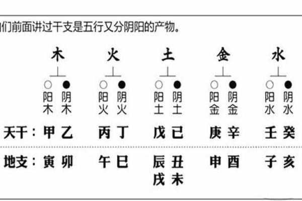 五行算命实用指南：掌握这几点，轻松调整你的五行格局