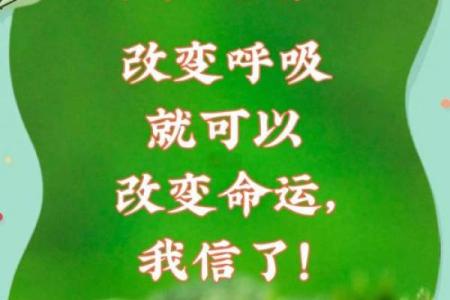 五行格局重塑术:刘如何改变命运,成就非凡事业?