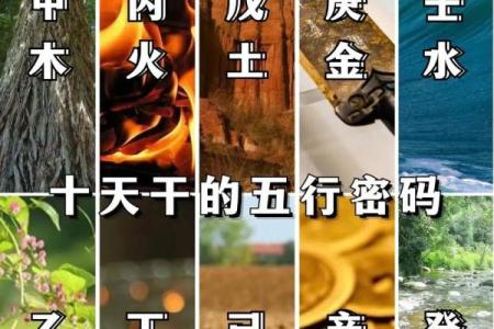 五行算命实用指南：掌握这几点，轻松调整你的五行格局