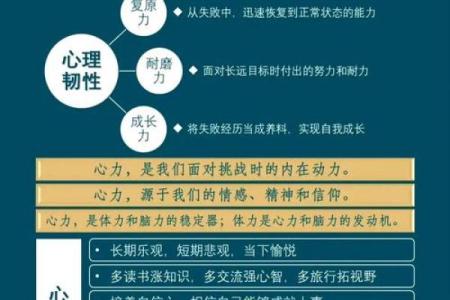 五行格局升级指南：仁者如何通过调整格局提升人生高度