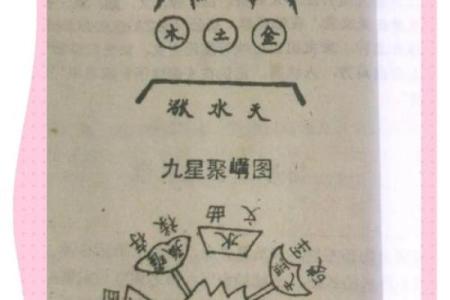 五行格局调整秘籍：1994年出生者如何利用木元素改变命运走向
