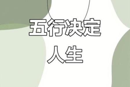 性格解析新视角:洋五行属性如何影响你的人生?