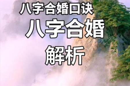 解析命理金分类对命运的影响，合婚时该注意什么？